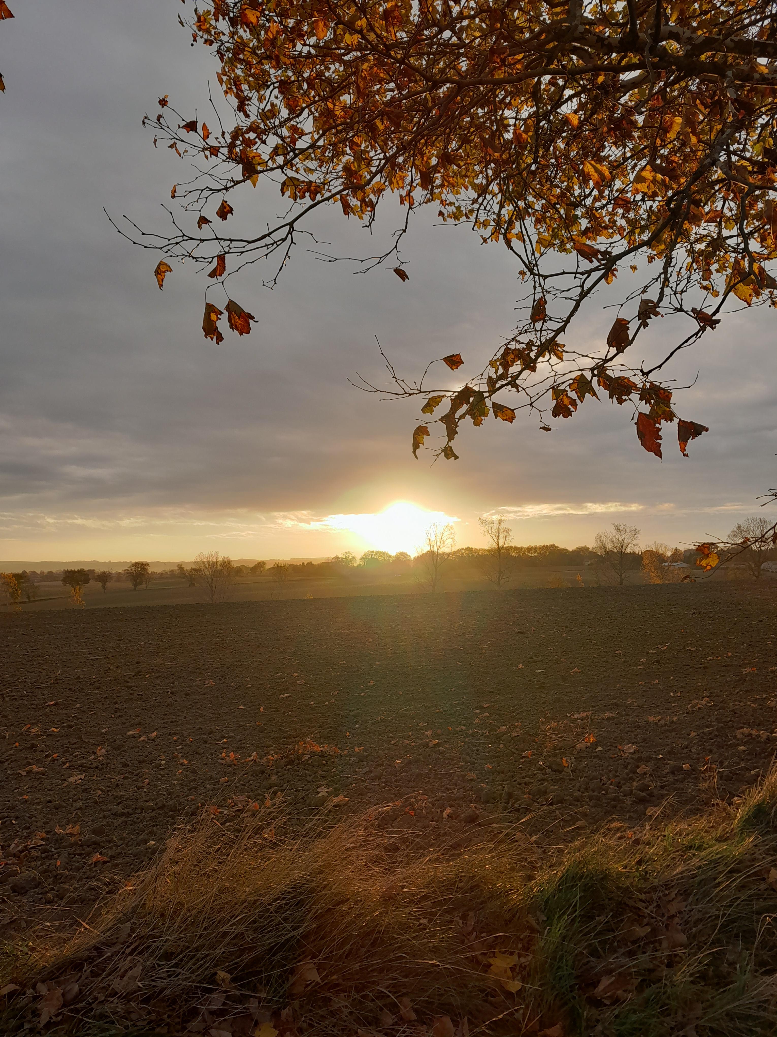 Paysage d'Airoux 