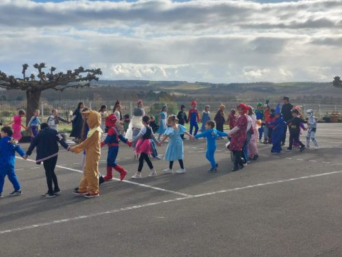 WhatsApp-Image-2026-02-20-at-17.05.33